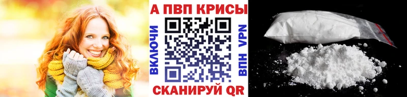 A PVP СК КРИС Сясьстрой