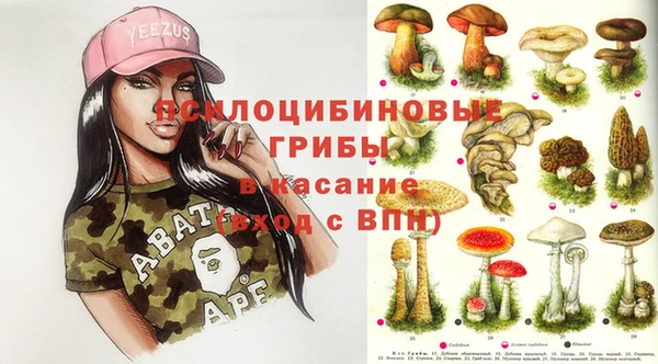 крисы Алексеевка