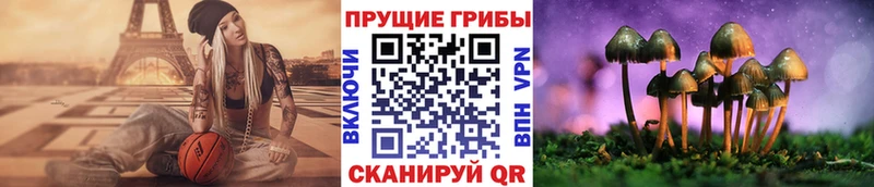 Купить закладки  Сясьстрой  Псилоцибиновые грибы GOLDEN TEACHER 